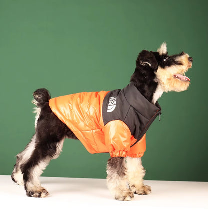 Reflective winter dog jacket for French Bulldogs and Chihuahuas