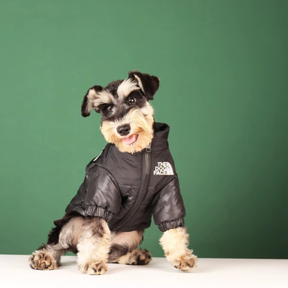 Reflective winter dog jacket for French Bulldogs and Chihuahuas