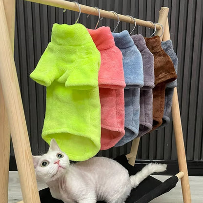 Hairless cat wearing turtleneck fleece winter sweater
