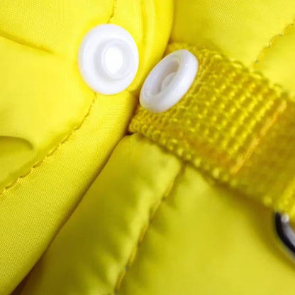 Winter cotton pet jacket for small dogs and cats with warm cozy fit