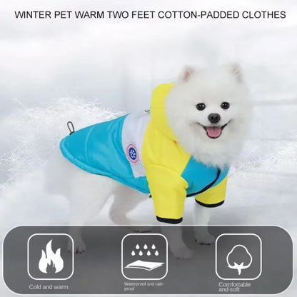 Winter cotton pet jacket for small dogs and cats with warm cozy fit