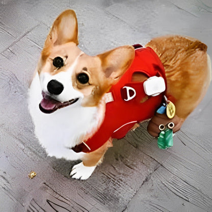 Poop-shaped pet waste bag dispenser clipped to a dog leash