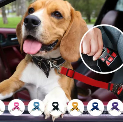 Dog wearing harness attached to car seat belt safety protector