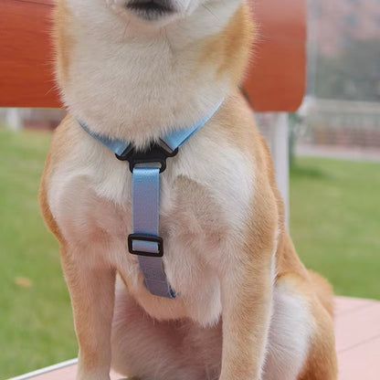 Dog backpack with built-in leash and storage for outdoor travel and hikin