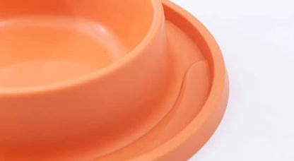 Dog double bowl feeder with non-slip silicone mat for cats and dogs