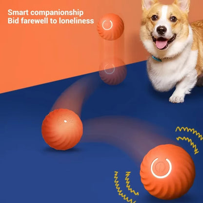 Automatic electric smart pet toy ball for dogs with gravity sensing