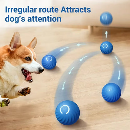 Automatic electric smart pet toy ball for dogs with gravity sensing