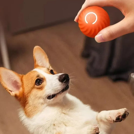 Automatic electric smart pet toy ball for dogs with gravity sensing