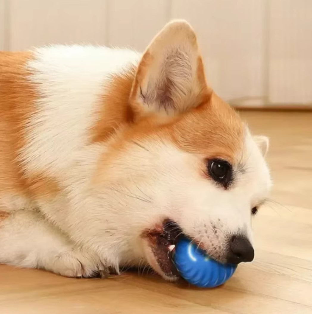 Automatic electric smart pet toy ball for dogs with gravity sensing