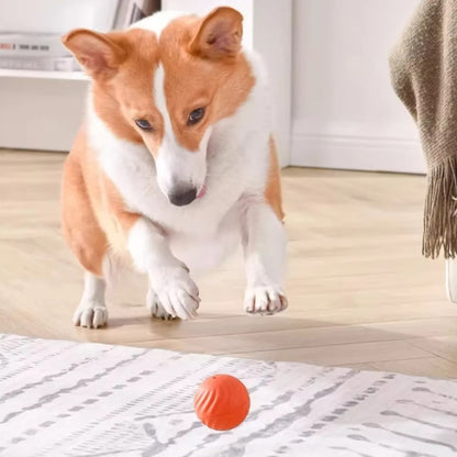 Automatic electric smart pet toy ball for dogs with gravity sensing