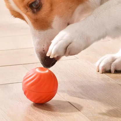 Automatic electric smart pet toy ball for dogs with gravity sensing
