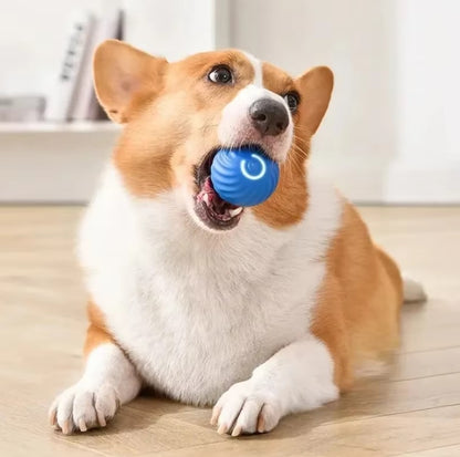 Automatic electric smart pet toy ball for dogs with gravity sensing
