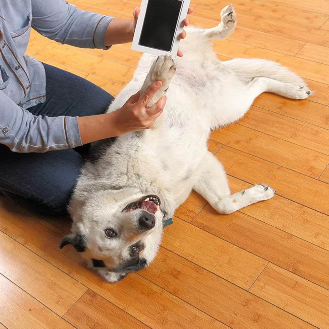 Pet Paw Print Ink Kit – Inkless technology for creating lasting paw prints without mess