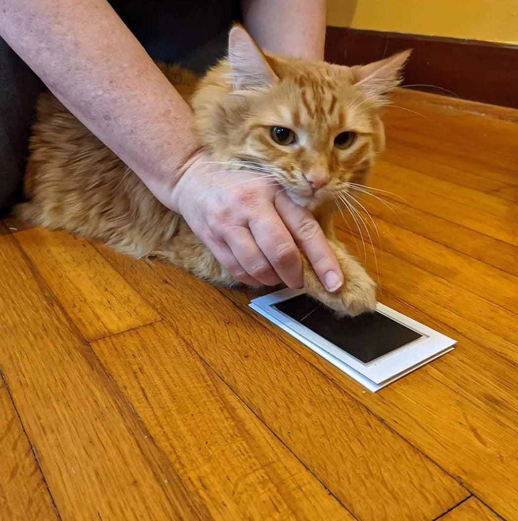 Pet Paw Print Ink Kit – Inkless technology for creating lasting paw prints without mess