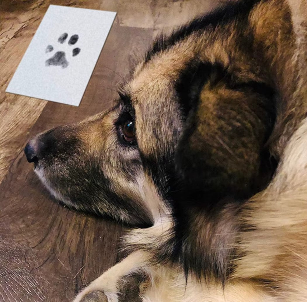 Pet Paw Print Ink Kit – Inkless technology for creating lasting paw prints without mess