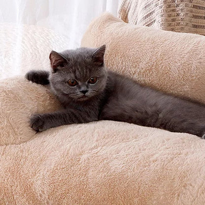 Four Seasons General Purpose Cat Sofa cozy and washable pet bed for cats