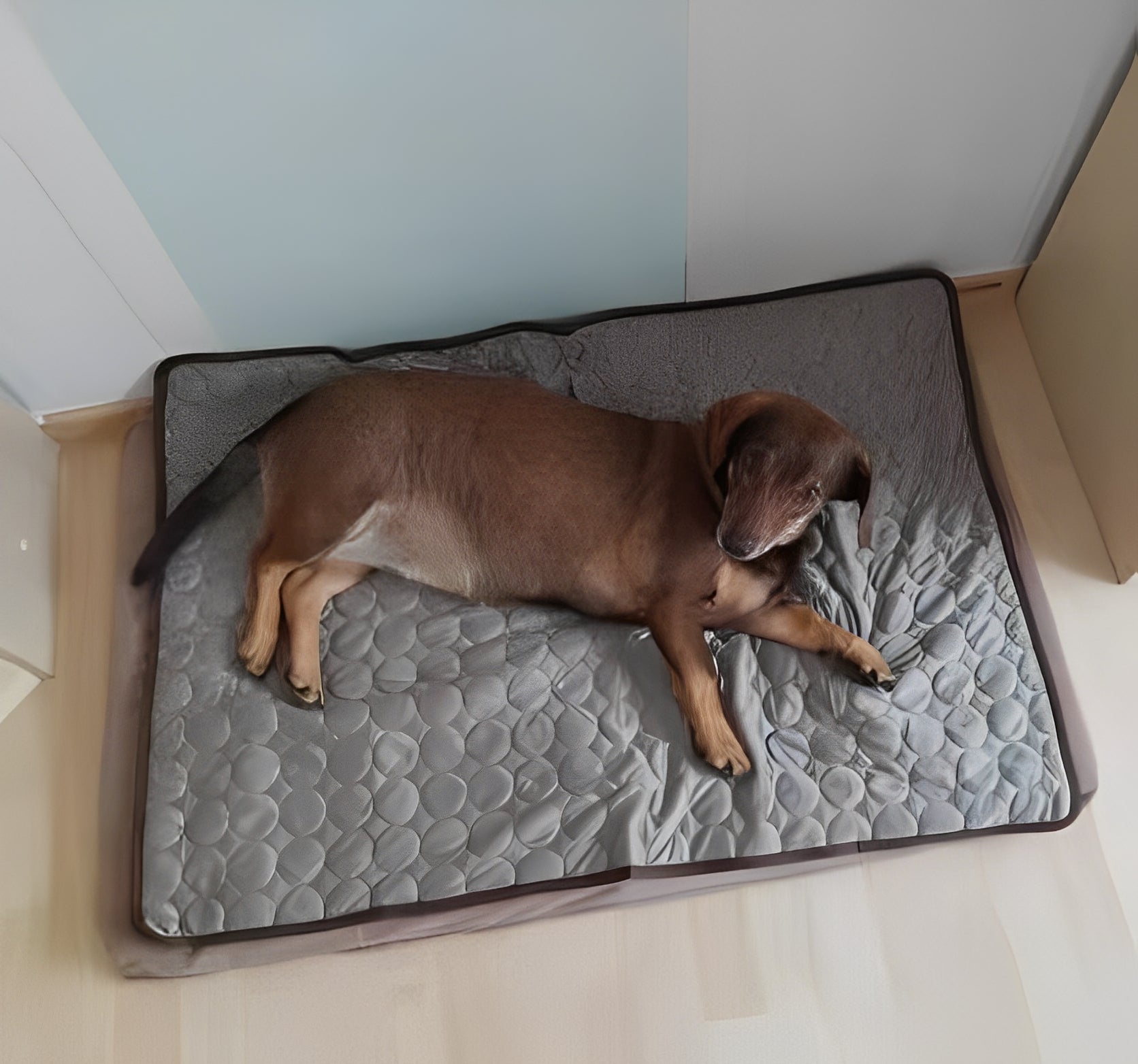A brown dog lying comfortably on a cooling mat designed for dogs, providing relief during hot weather - Customer review photo