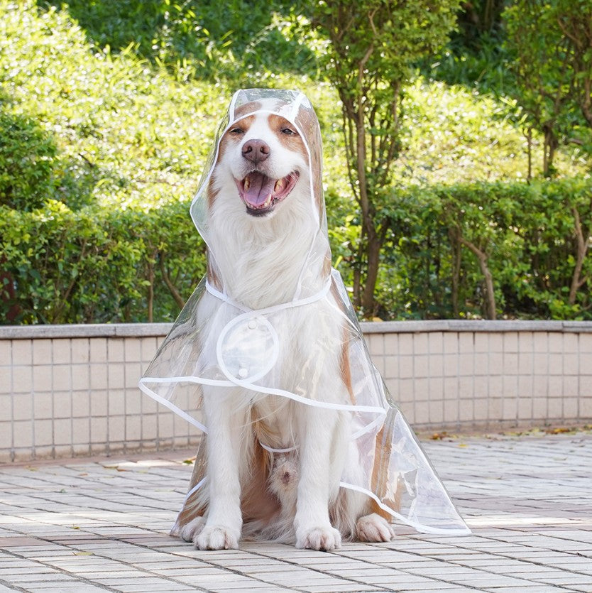 Imperméable transparent pour chien – Veste imperméable transparente pour promenades sous la pluie