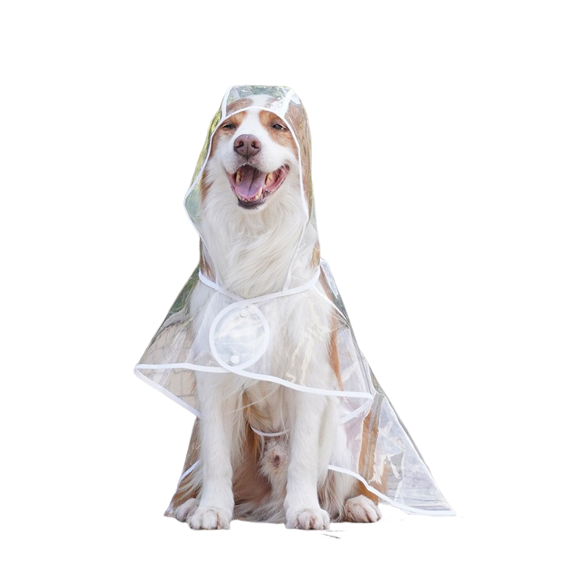 Imperméable transparent pour chien – Veste imperméable transparente pour promenades sous la pluie