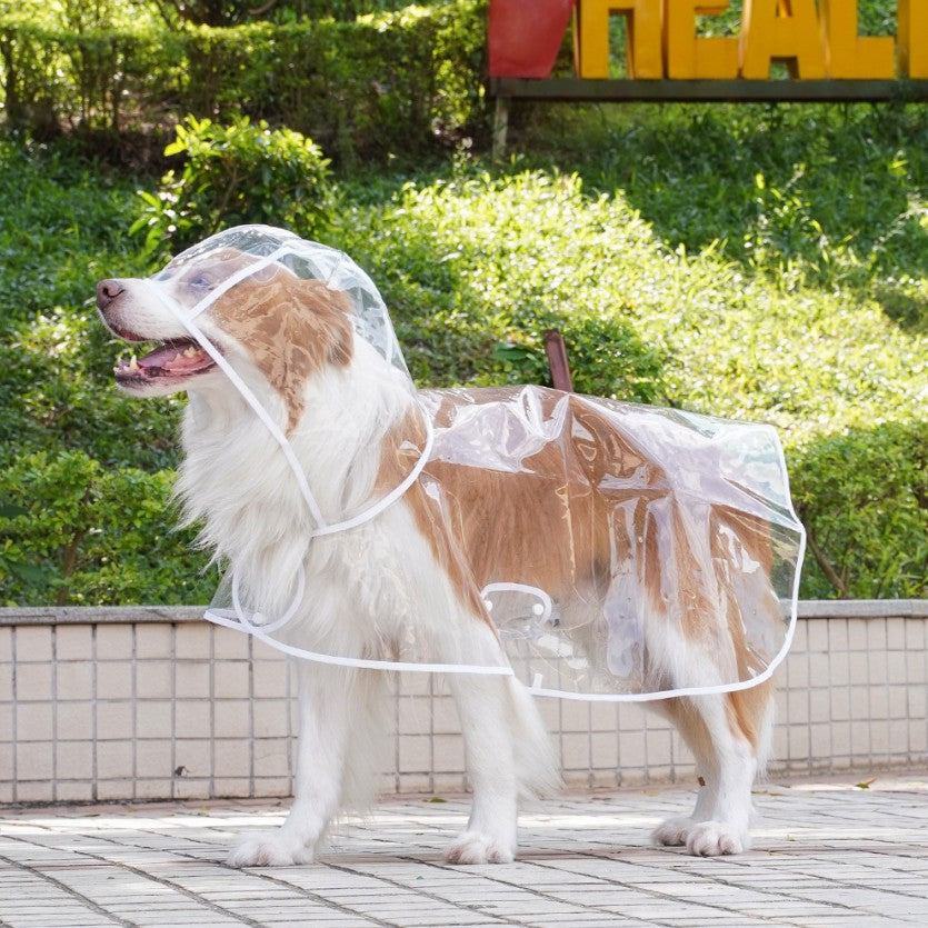 Imperméable transparent pour chien – Veste imperméable transparente pour promenades sous la pluie