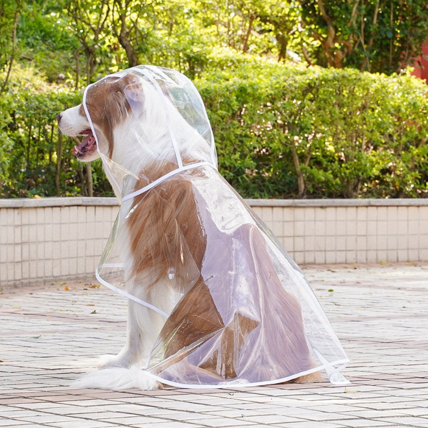 Imperméable transparent pour chien – Veste imperméable transparente pour promenades sous la pluie
