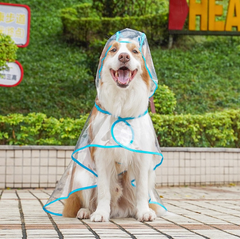 Imperméable transparent pour chien – Veste imperméable transparente pour promenades sous la pluie
