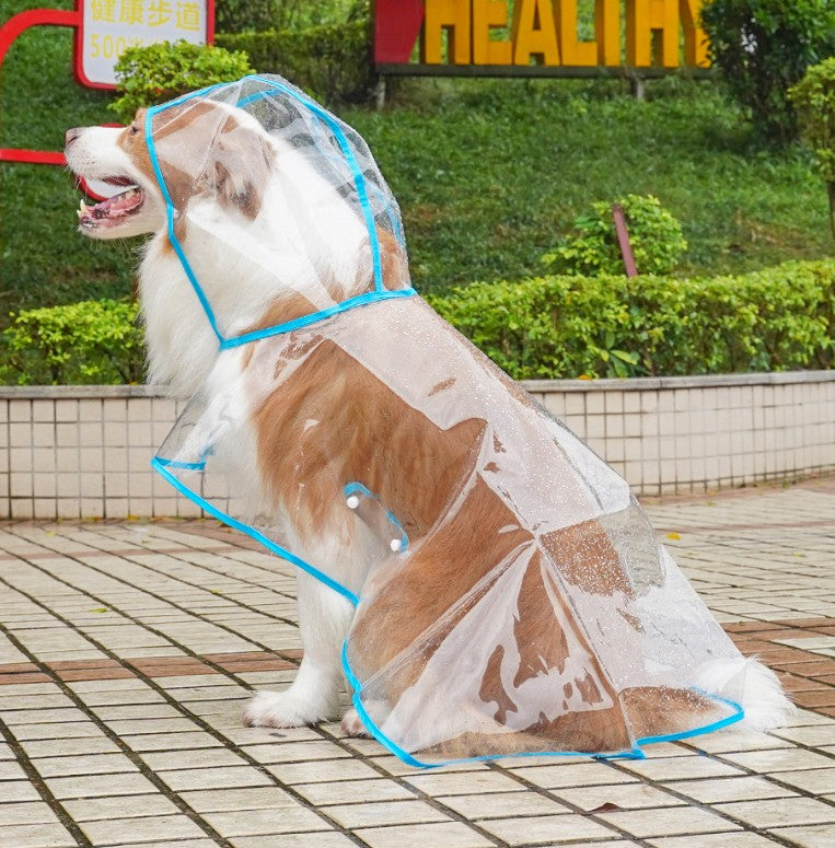 Imperméable transparent pour chien – Veste imperméable transparente pour promenades sous la pluie