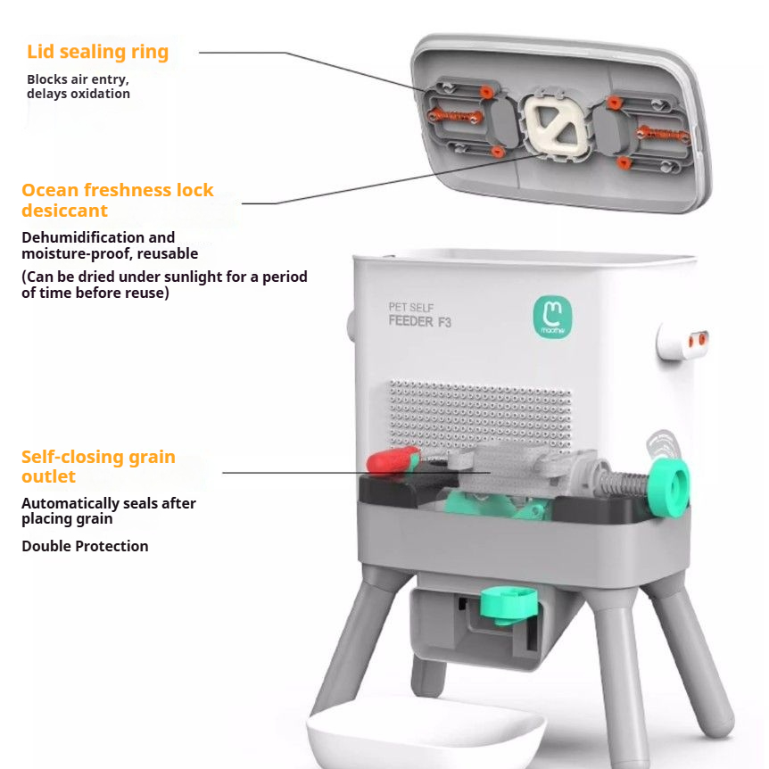 The Artisan™ Customizable Paw - Activated Station
