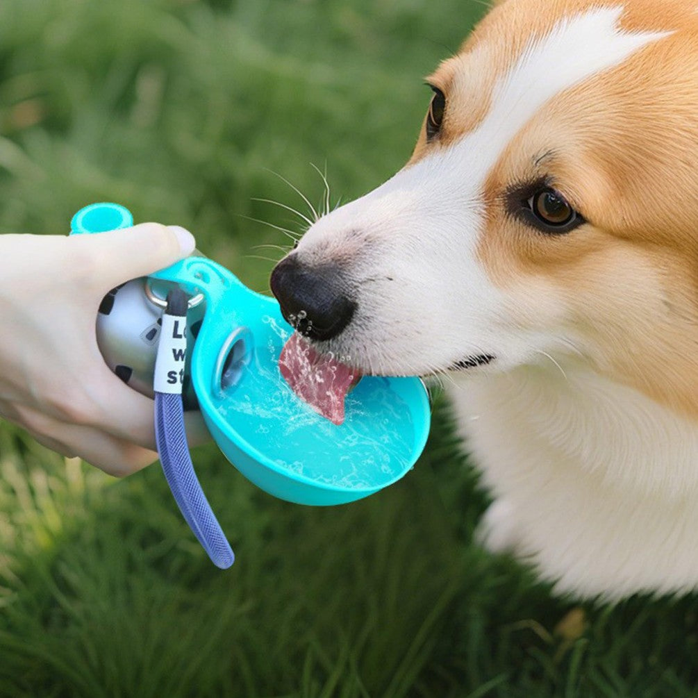 Dog drinking water from the Dog Travel Water Bottle The Nomad™ Kinetic Hydration Orb in a grassy setting.