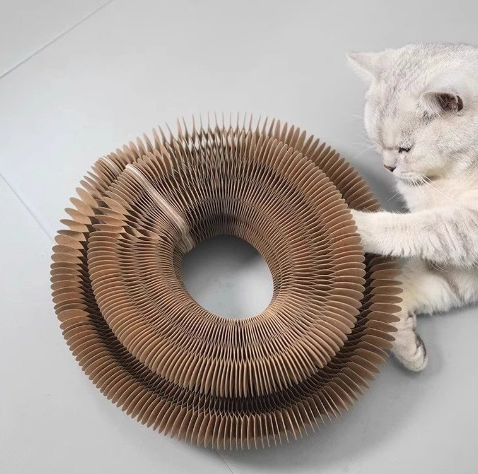 The Magic Organ™ Foldable Cat Scratching Board with Bell Ball