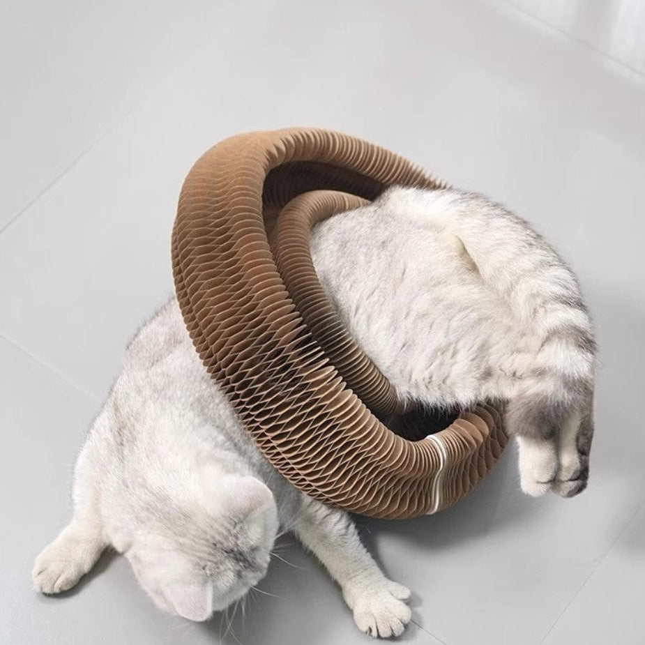 The Magic Organ™ Foldable Cat Scratching Board with Bell Ball