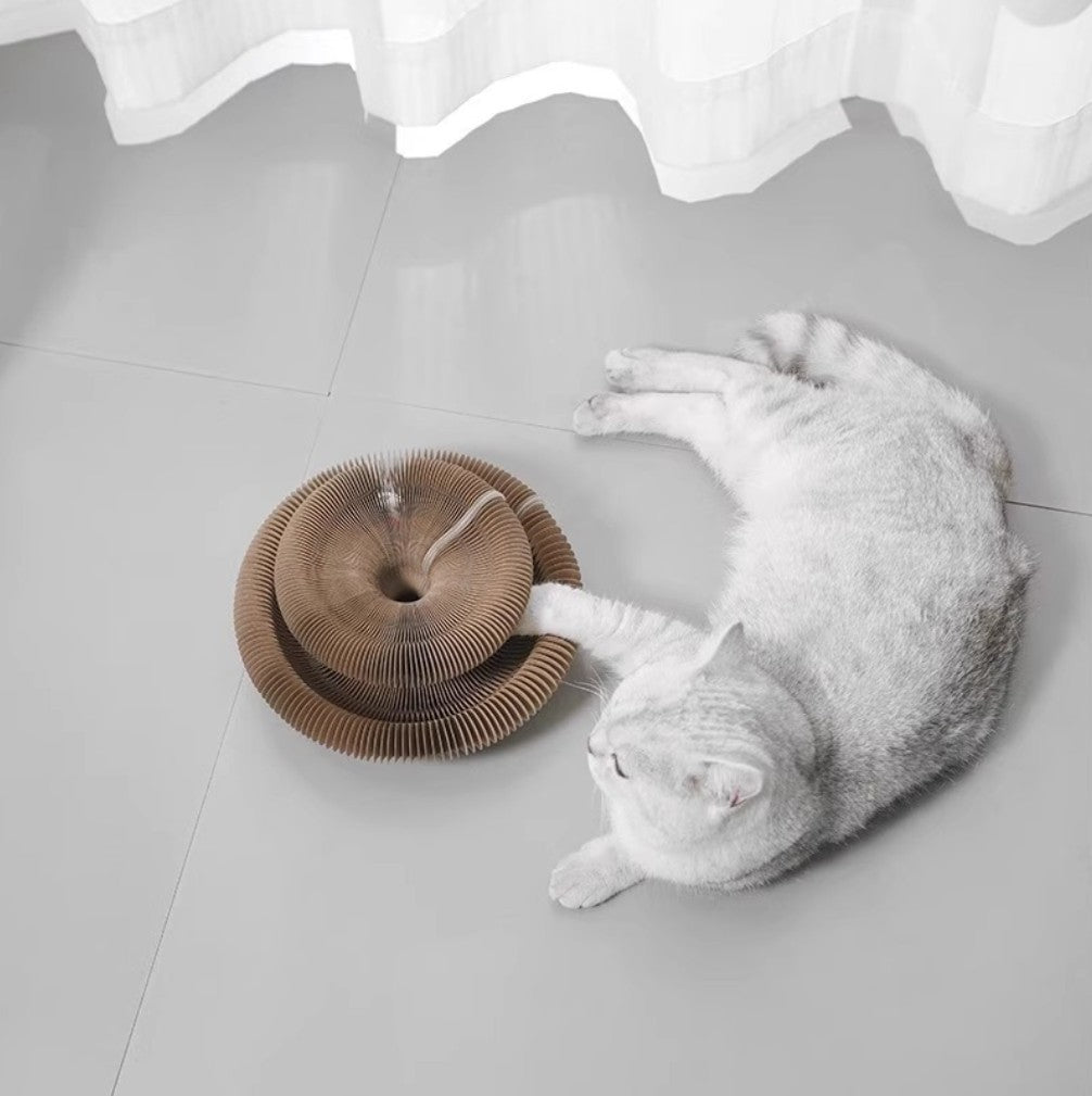 The Magic Organ™ Foldable Cat Scratching Board with Bell Ball