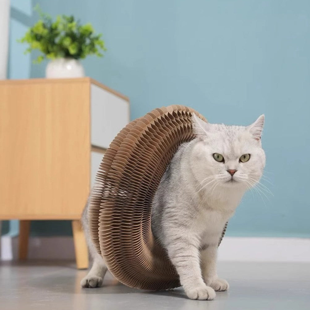 The Magic Organ™ Foldable Cat Scratching Board with Bell Ball