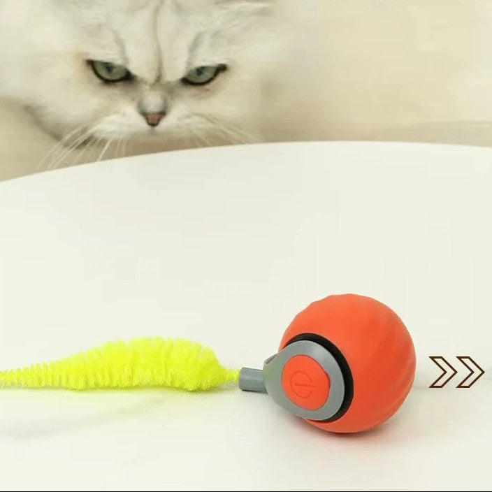 Interactive pet ball on a table with a curious cat looking at it, ready to play.