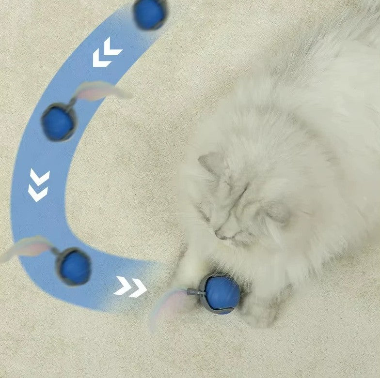 A fluffy cat playing with an interactive pet ball, as it moves along a blue path on the floor.