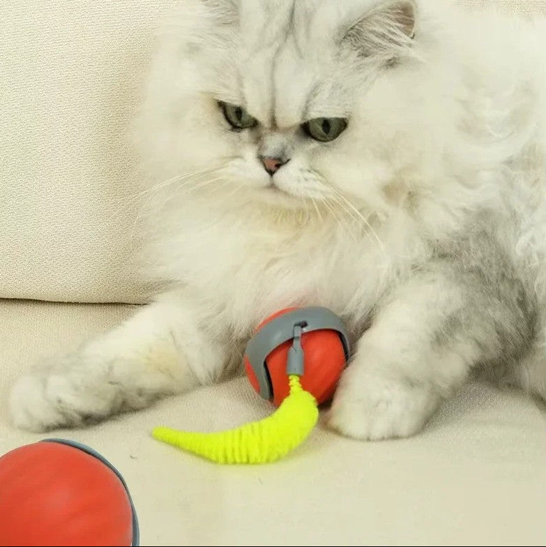 A fluffy cat playing with the Interactive Pet Ball The Odyssey™ 2.0, showcasing its interactive features.