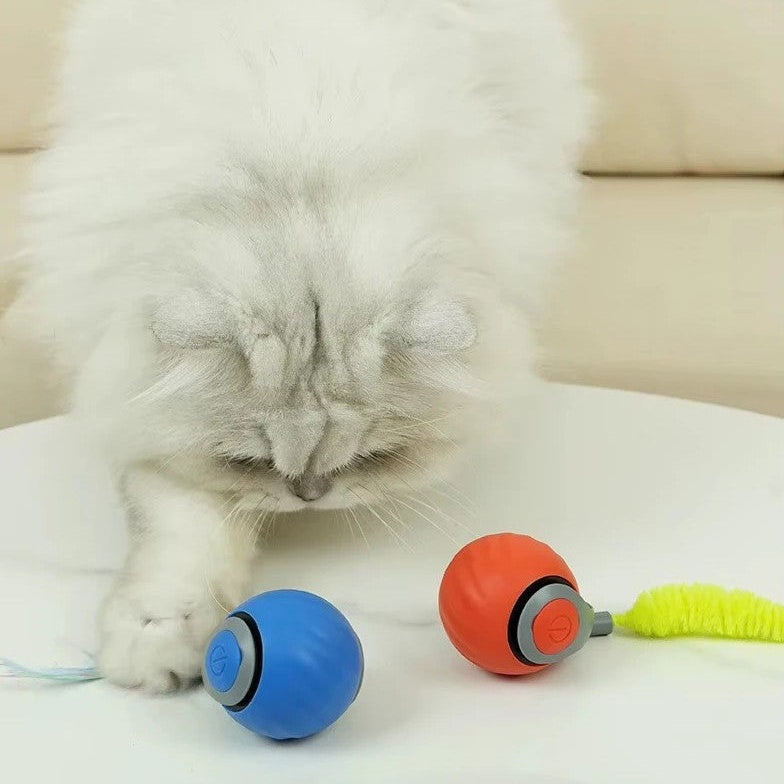 A fluffy white cat interacting with colorful interactive pet balls on a white surface.