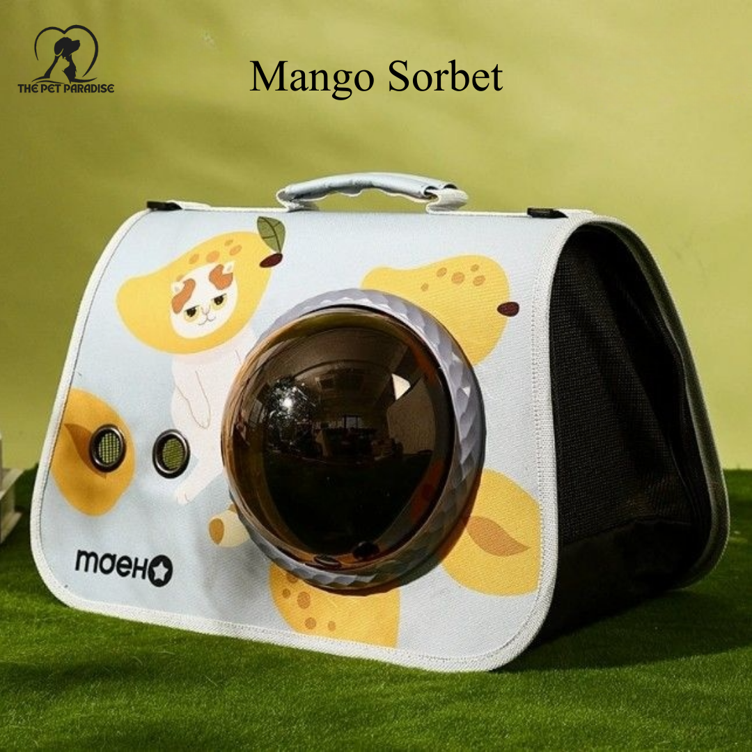 The AstroView™ Premium Pet Carrier Backpack