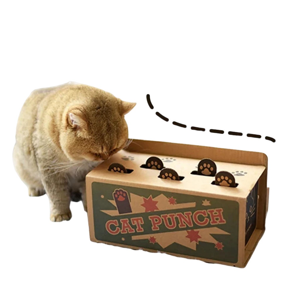 Interactive cat maze puzzle toy with pop-up mouse for indoor play