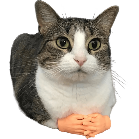 Cat finger sleeve mini hand model for pet massage and play