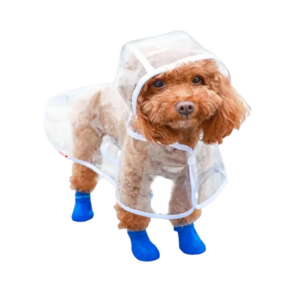 Transparent waterproof dog raincoat for small to medium-sized pets, keeping them dry and stylish during rainy outdoor walks.