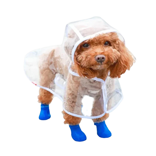 Clear waterproof raincoat for small to medium dogs with adjustable hood and leash opening, ideal for outdoor walks in rainy weather.