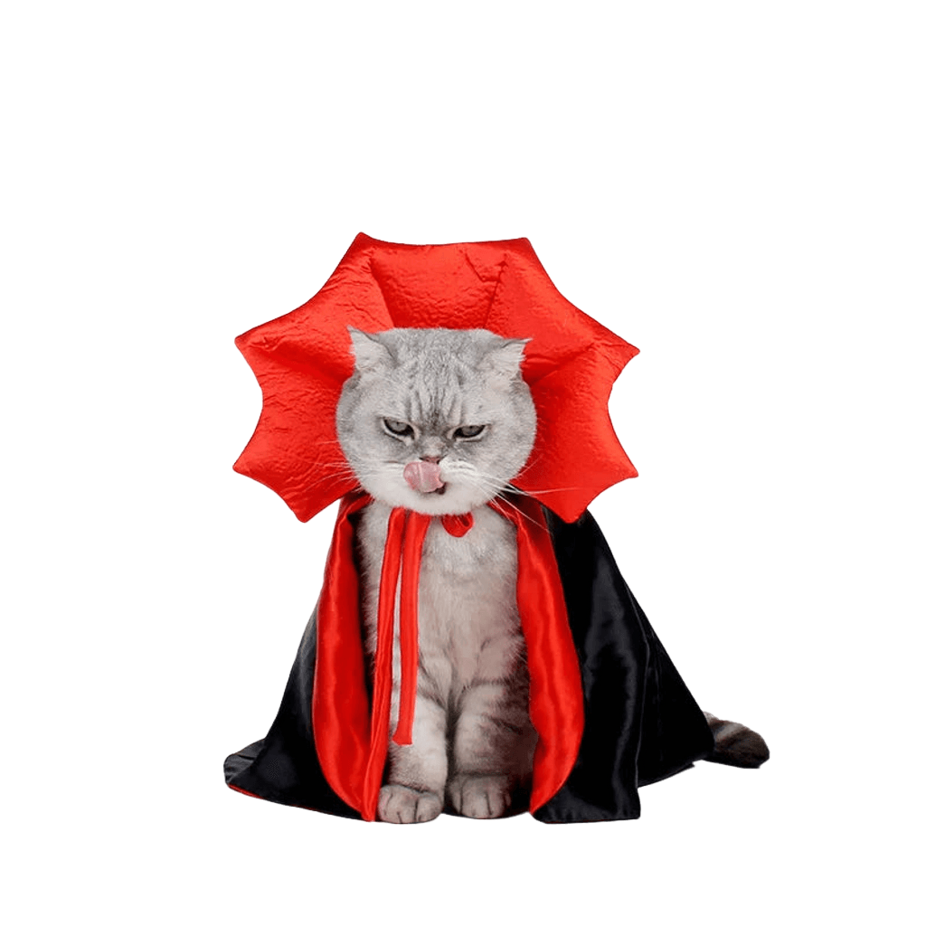 Black vampire cloak Halloween costume for cats with adjustable neckline and lightweight polyester fabric.