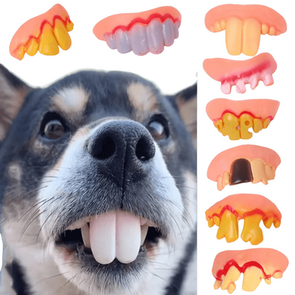 Dog wearing a funny set of false teeth for Halloween, ready to entertain at any spooky celebration.