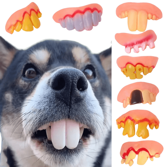 The Pet Paradise Funny False Teeth for Dogs - Halloween Cosplay Dentures for Pet Dogs, Pet Dentures for Halloween Cosplay