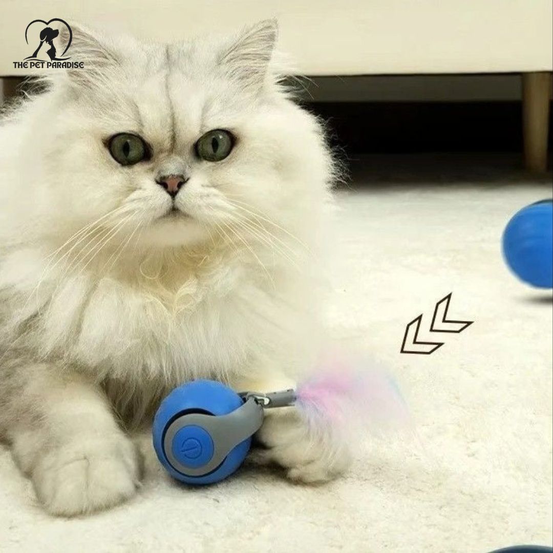 A fluffy cat playing with the Interactive Pet Ball The Odyssey™ 2.0, showing its colorful tail feature.