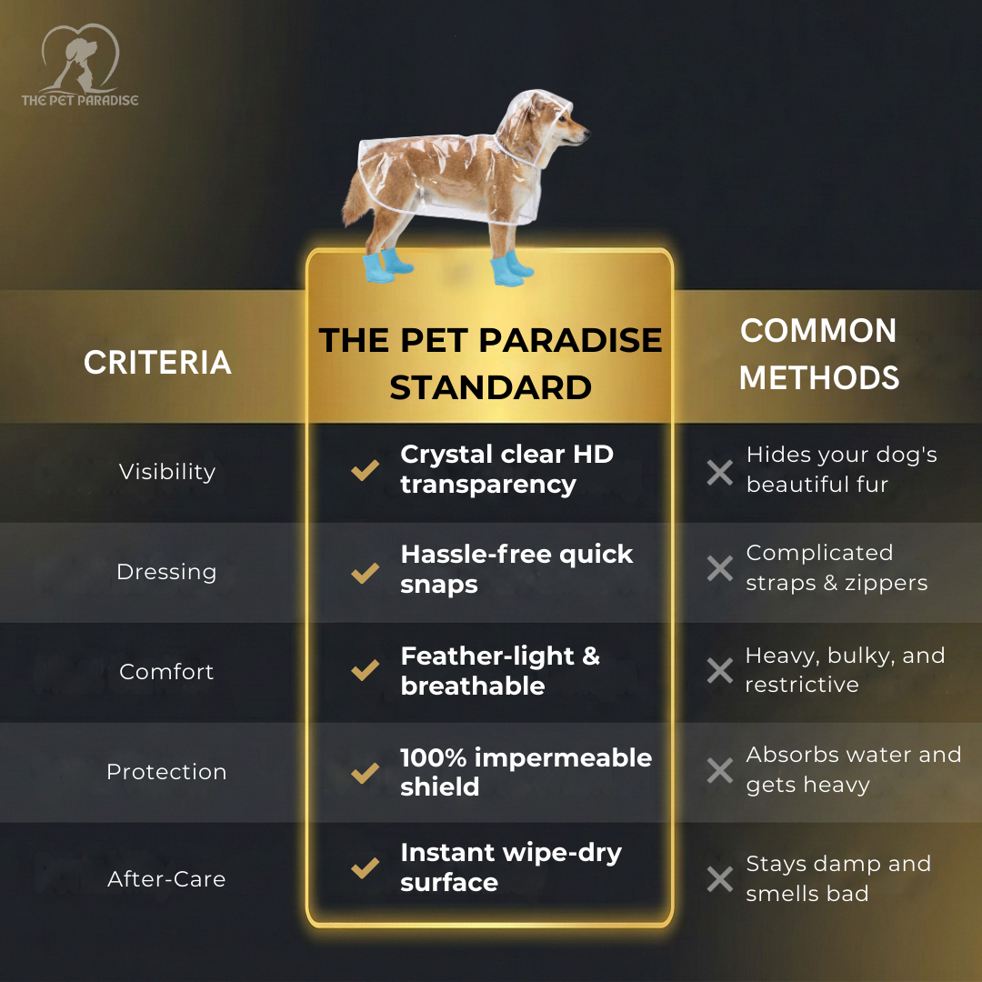 Imperméable transparent pour chien – Veste imperméable transparente pour promenades sous la pluie