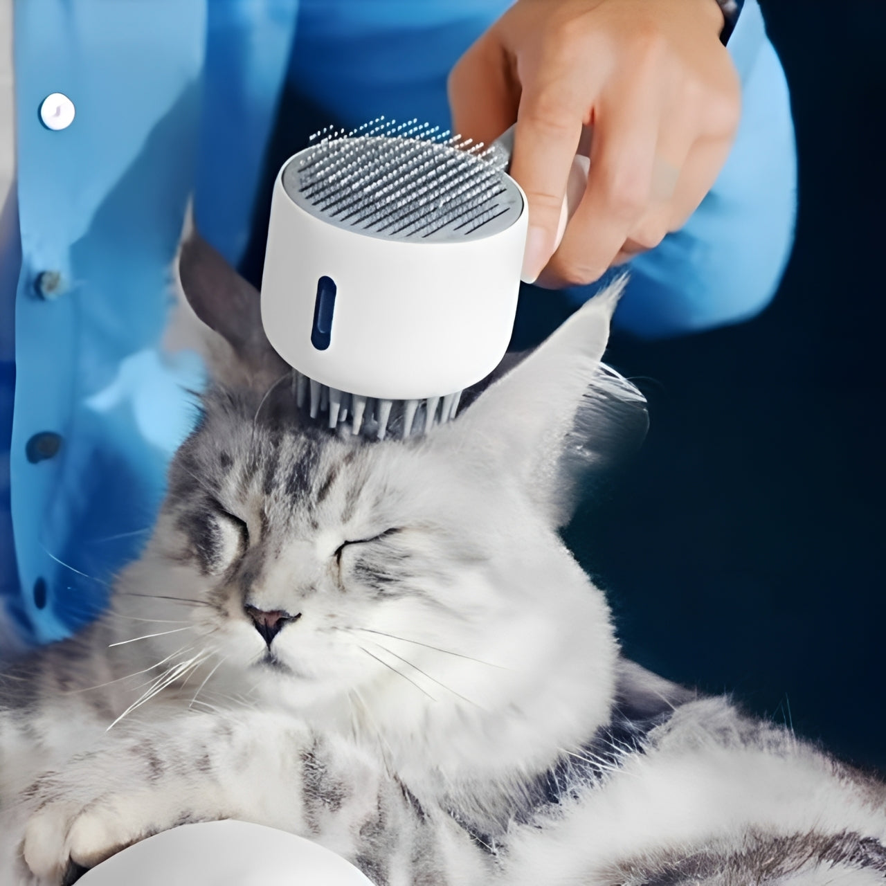Pet grooming brush being used on a relaxed cat, showcasing the Artisan™ dual-sided design for effective pet grooming.