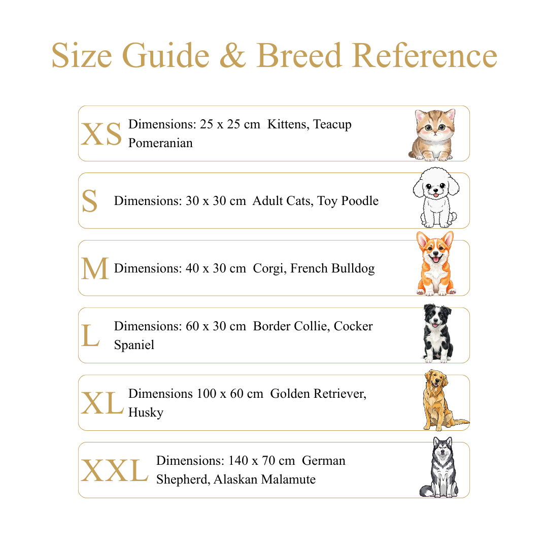 Nouvelles serviettes à séchage rapide pour chiens et chats : une solution de séchage rapide et confortable pour vos animaux de compagnie