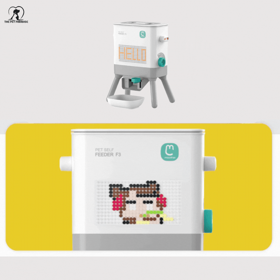 The Artisan™ Customizable Paw - Activated Station